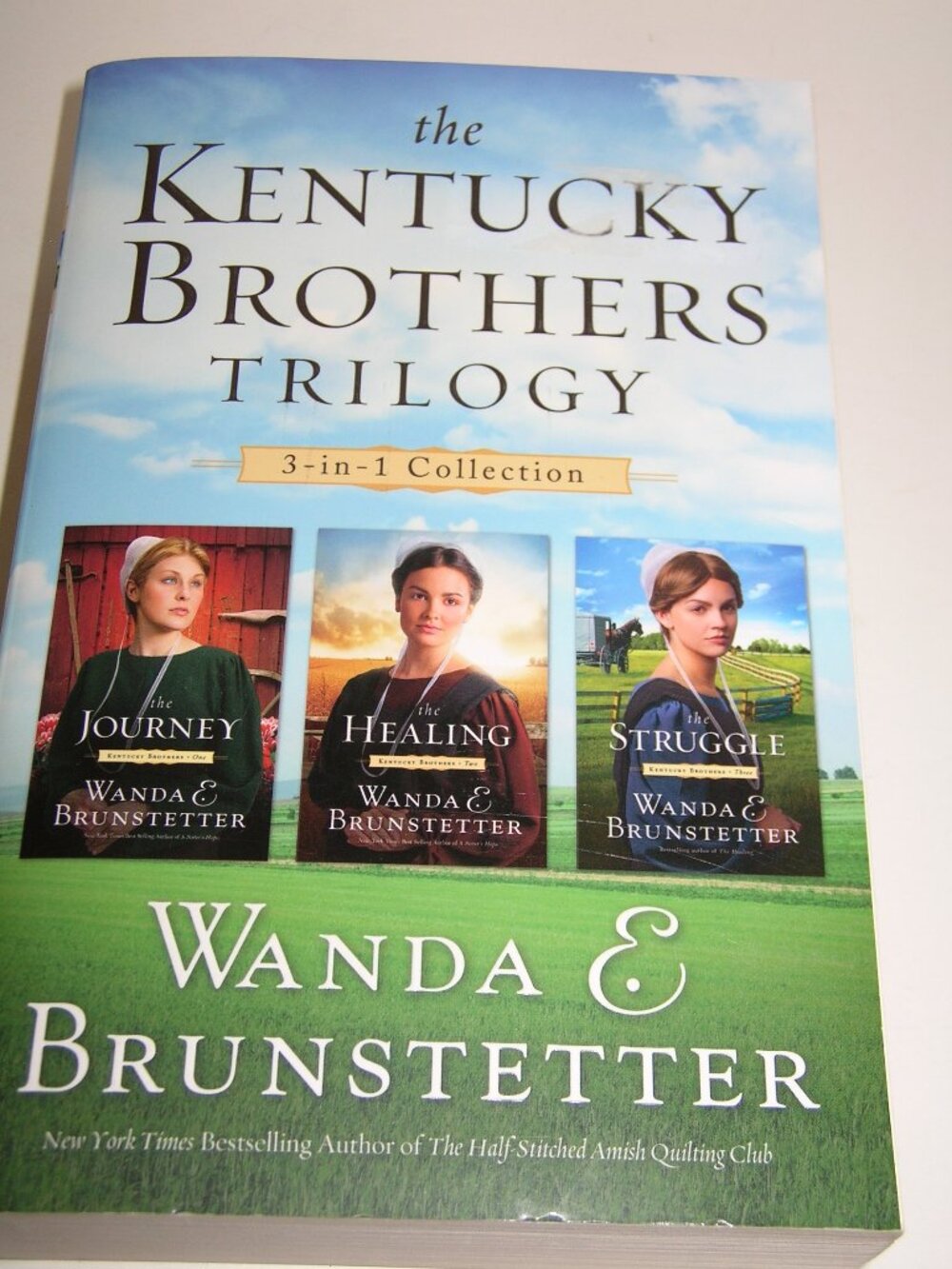 "The Kentucky Brothers Trilogy" Romance Novel Book by Wanda E Brunstetter New 72